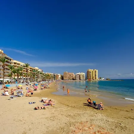 Alegria Id152 アパート トレビエハ